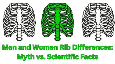 Men and Women Rib Differences